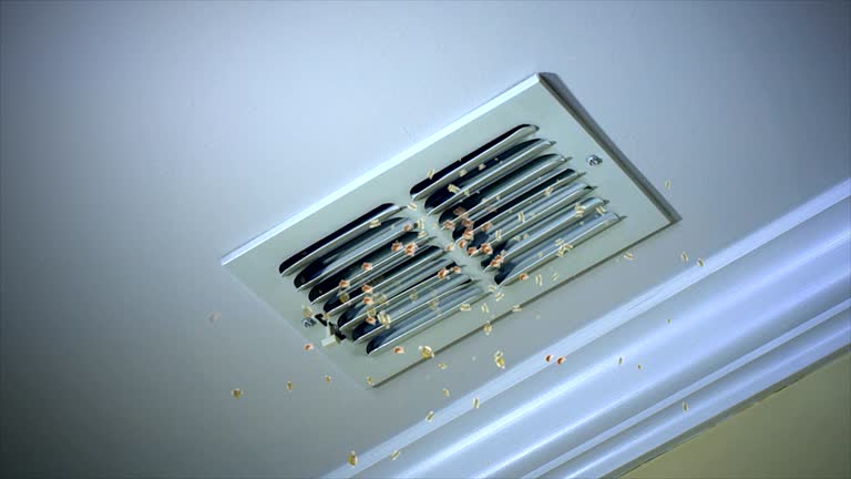 Best Air Duct Cleaning Near Me  in Eureka Mill, SC