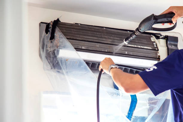 Best Air Duct Mold Removal  in Eureka Mill, SC