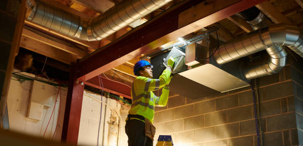 Air Duct Mold Removal in SC